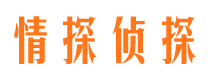 铜川市侦探调查公司